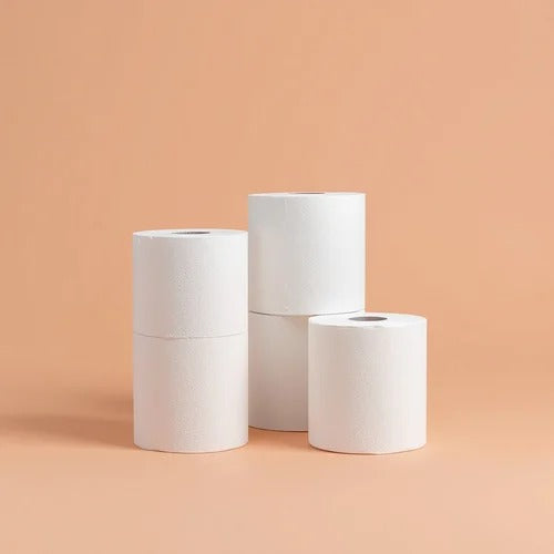 Toilet Roll - 6 in 1 (Pack of 6, 2 Ply)