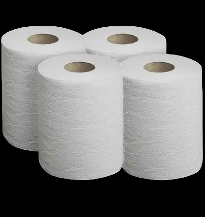 Shiuli Toilet Paper Roll - Pack of 4