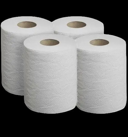 Shiuli Toilet Paper Roll - Pack of 4